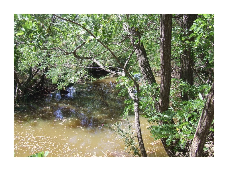 4517 Oallen Ford Road, Bungonia NSW 2580