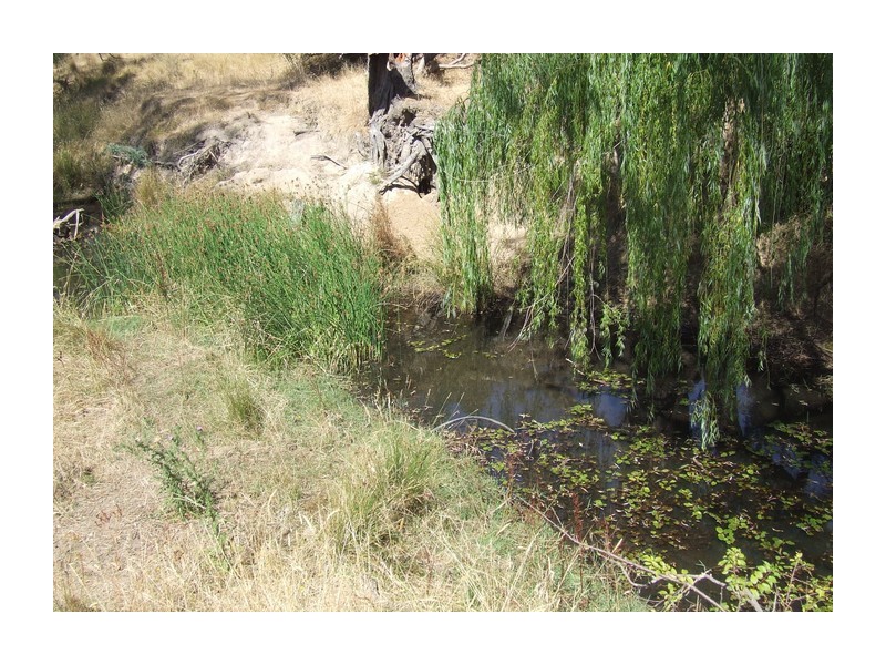 13 Berry’s Lane, Rugby NSW 2583