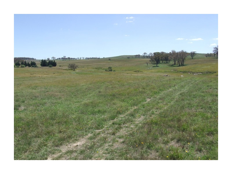 Lot 1 Tyrl Tyrl Road, Golspie NSW 2580