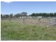 Lot 1 Tyrl Tyrl Road, Golspie NSW 2580