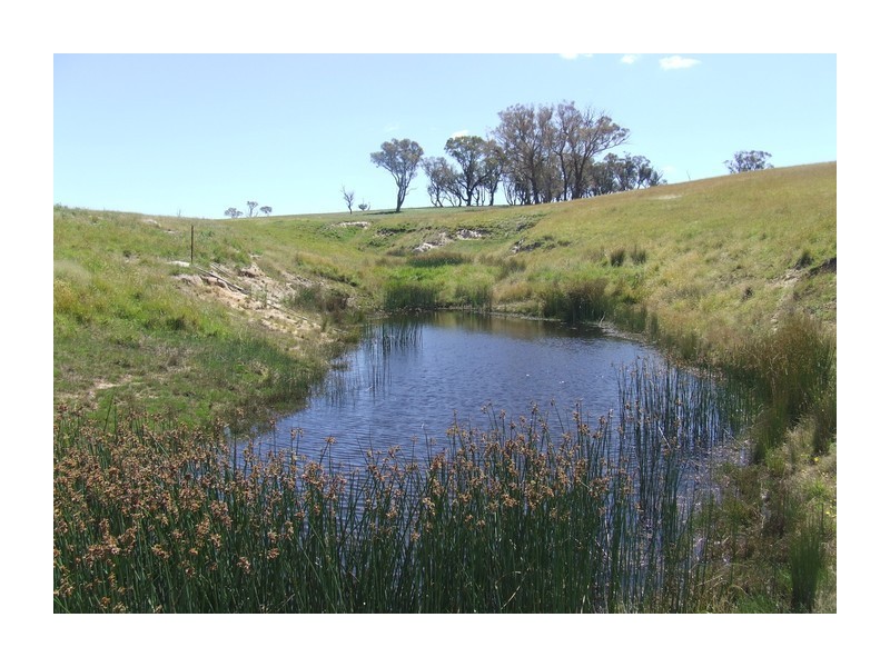 Lot 1 Tyrl Tyrl Road, Golspie NSW 2580