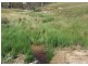 Lot 1 Tyrl Tyrl Road, Golspie NSW 2580