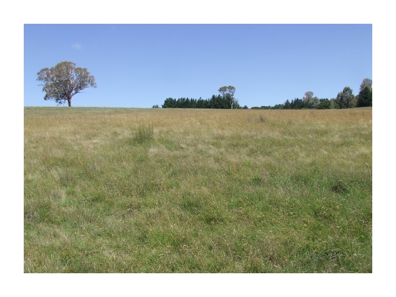 Lot 1 Tyrl Tyrl Road, Golspie NSW 2580