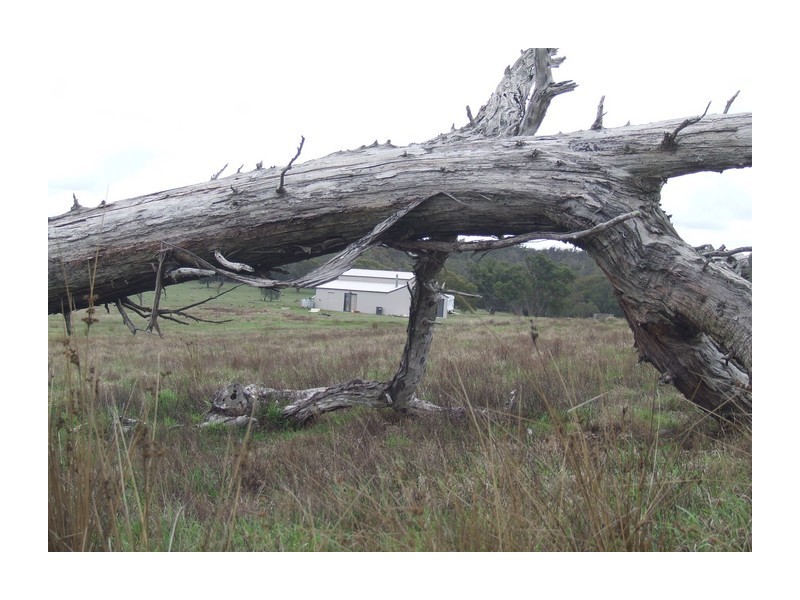 619 Lumley Road, Bungonia NSW 2580