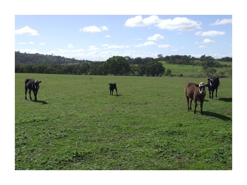 17438 Hume Highway, Towrang NSW 2580