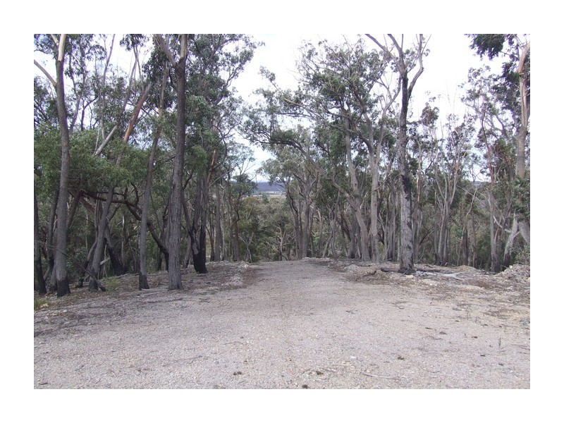 244 Tiyces Lane, Goulburn NSW 2580