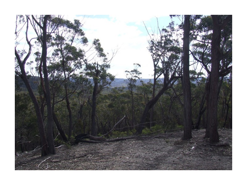 244 Tiyces Lane, Goulburn NSW 2580