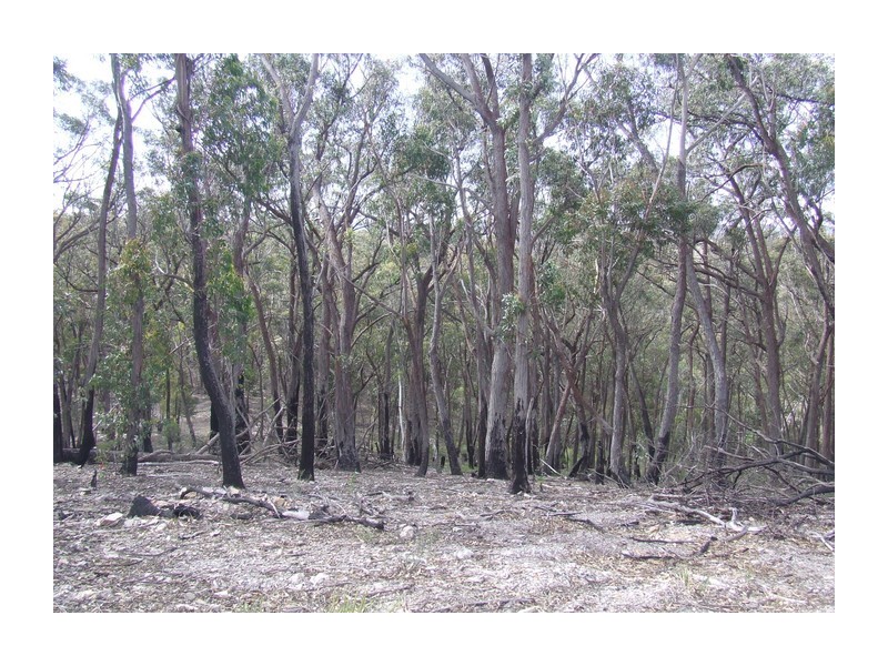 244 Tiyces Lane, Goulburn NSW 2580