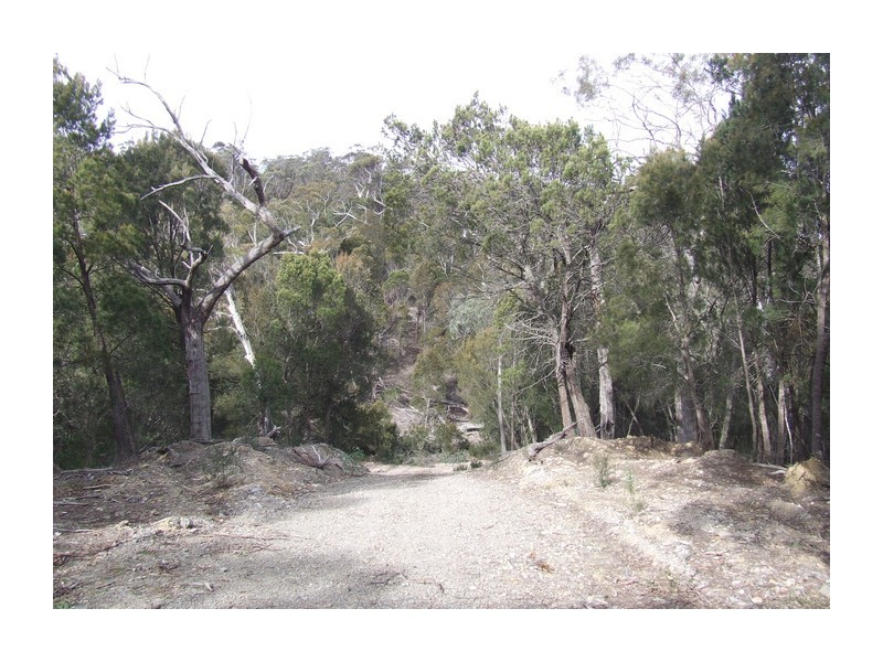 244 Tiyces Lane, Goulburn NSW 2580