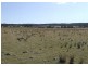 Lot 22 Maclura Drive, Marulan NSW 2579