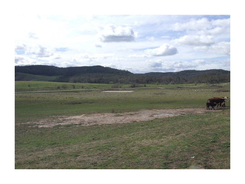396 Canyonleigh Road, Brayton NSW 2579