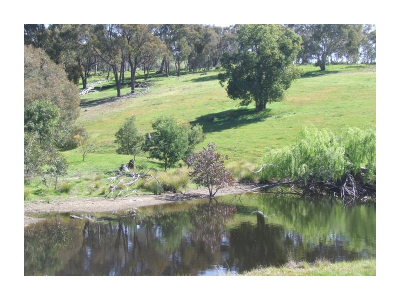 881 Mulgowrie Road, Crooked Corner NSW 2583