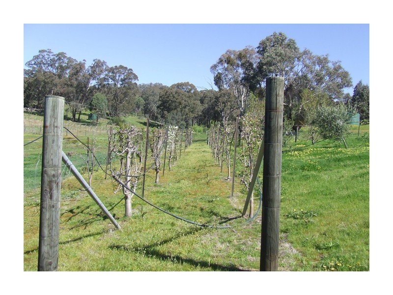 881 Mulgowrie Road, Crooked Corner NSW 2583