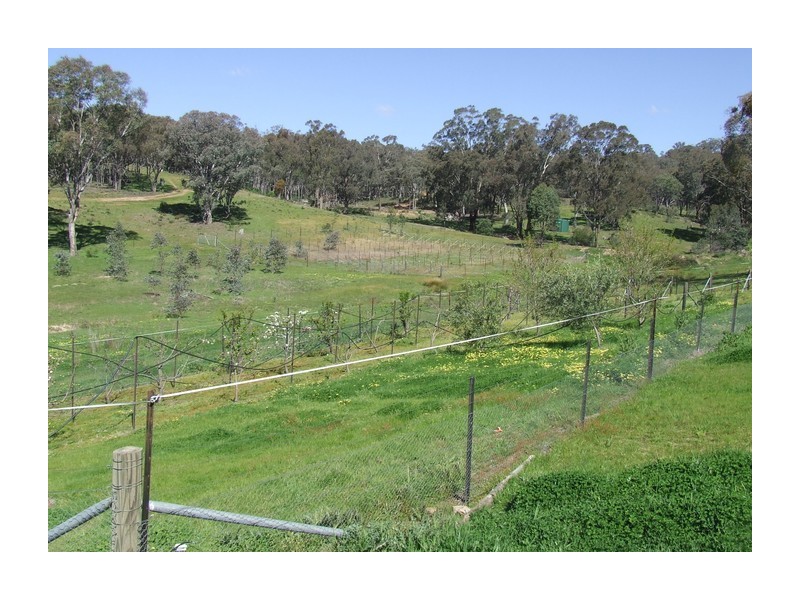 881 Mulgowrie Road, Crooked Corner NSW 2583