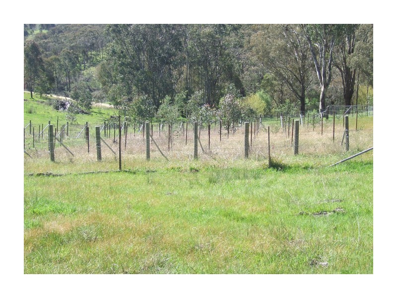 881 Mulgowrie Road, Crooked Corner NSW 2583