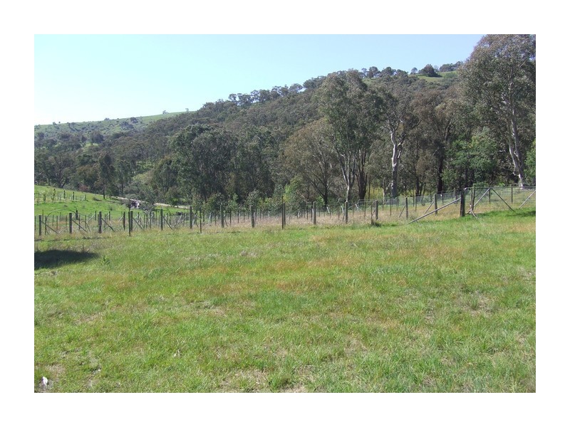 881 Mulgowrie Road, Crooked Corner NSW 2583