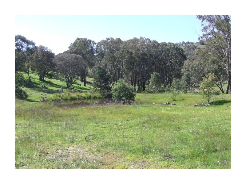 881 Mulgowrie Road, Crooked Corner NSW 2583