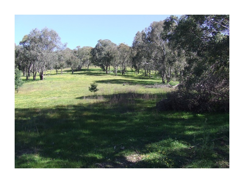 881 Mulgowrie Road, Crooked Corner NSW 2583