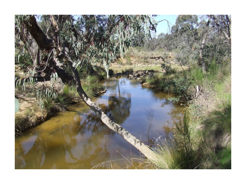 Lot 31 Maryvale Road, Bevendale NSW 2581