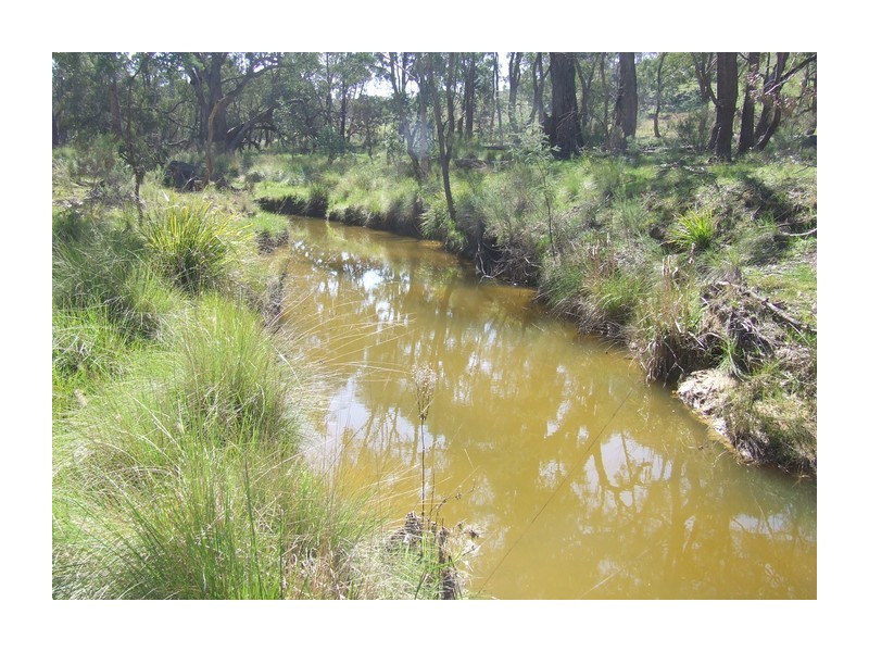 Lot 31 Maryvale Road, Bevendale NSW 2581