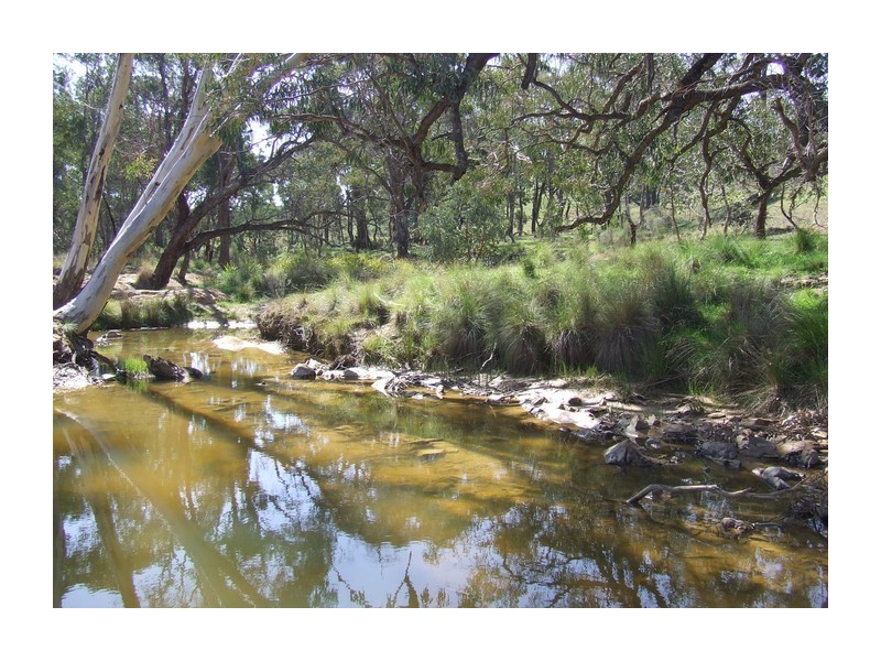 Lot 31 Maryvale Road, Bevendale NSW 2581