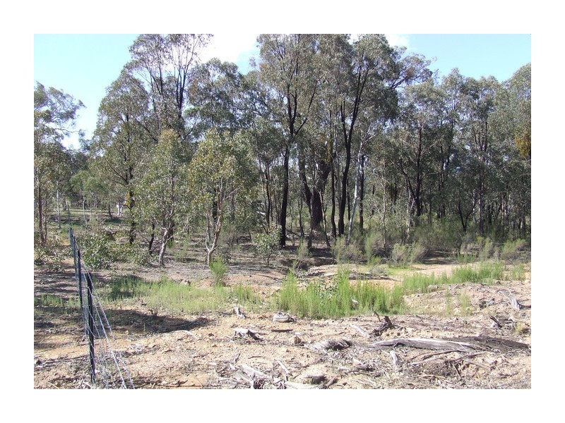Lot 31 Maryvale Road, Bevendale NSW 2581