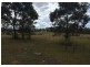 Lot 31 Maryvale Road, Bevendale NSW 2581