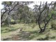 Lot 1 Towrang Road, Towrang NSW 2580