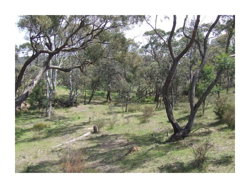 Lot 1 Towrang Road, Towrang NSW 2580