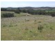Lot 1 Towrang Road, Towrang NSW 2580