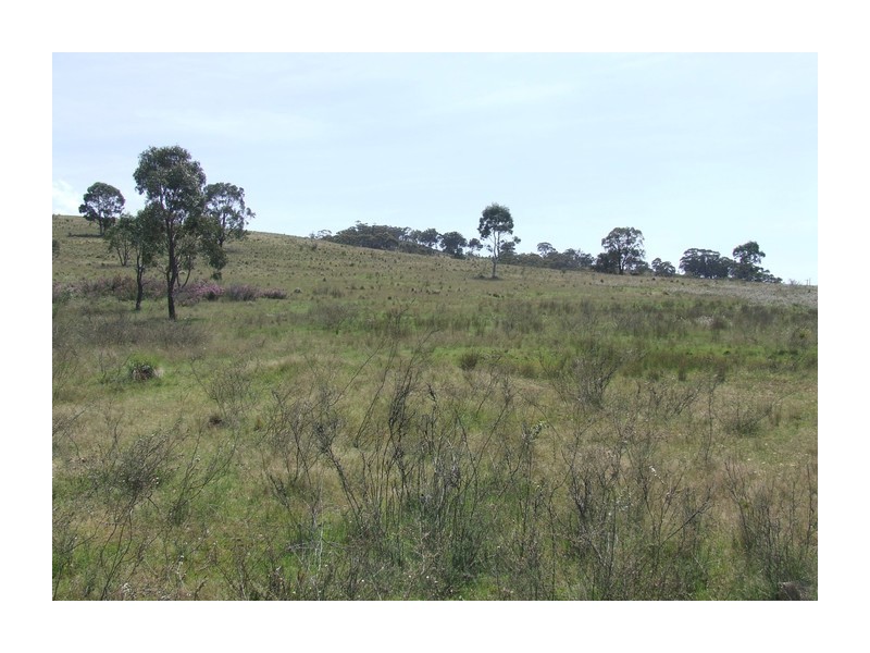 Lot 1 Towrang Road, Towrang NSW 2580