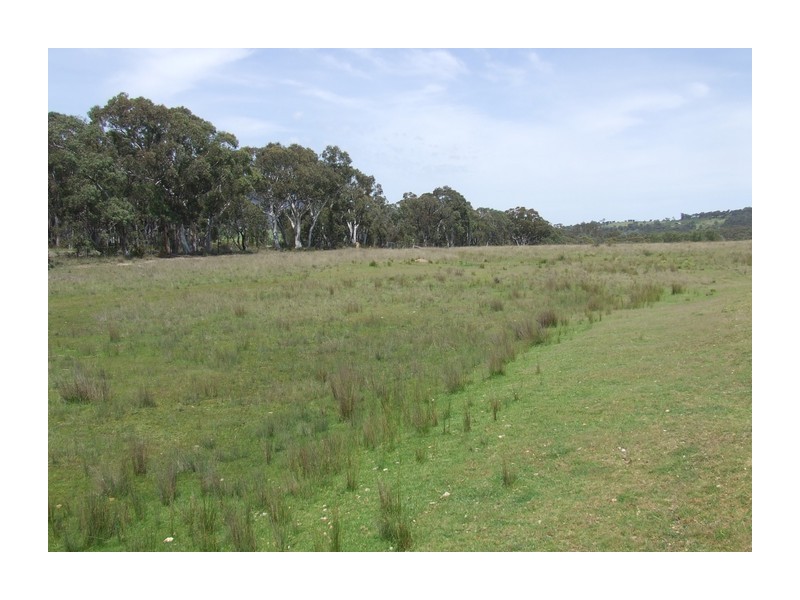 Lot 1 Towrang Road, Towrang NSW 2580