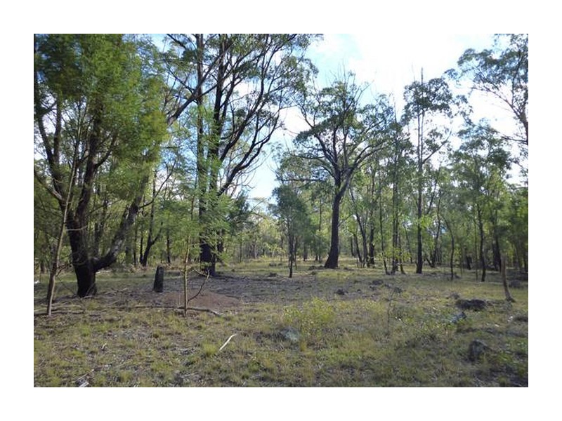 138 Garmoran Valley Road, Big Hill NSW 2579