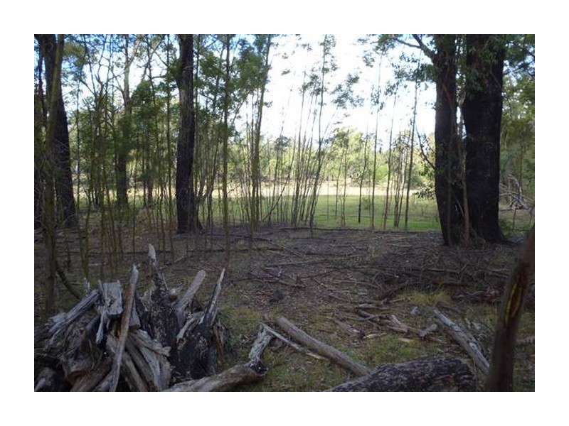 138 Garmoran Valley Road, Big Hill NSW 2579