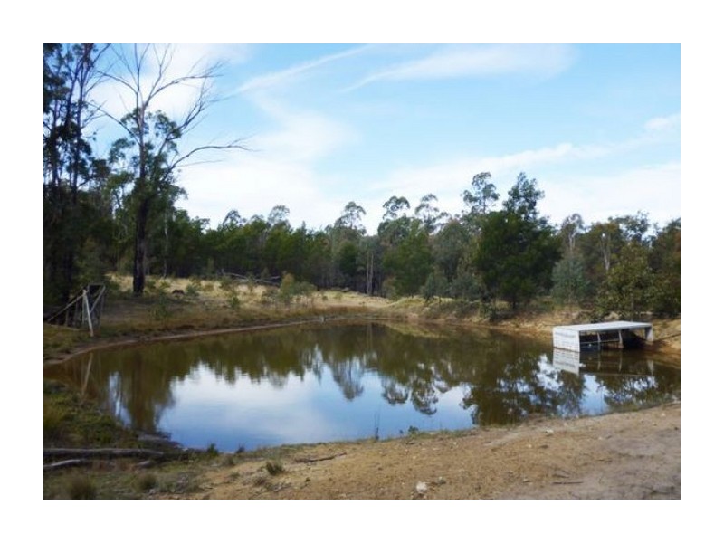 196 Garmoran Valley Road, Big Hill NSW 2579
