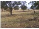 890 Brayton Road, Marulan NSW 2579