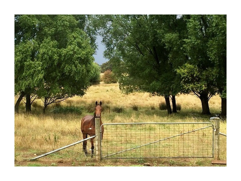 7 Wade Street, Crookwell NSW 2583