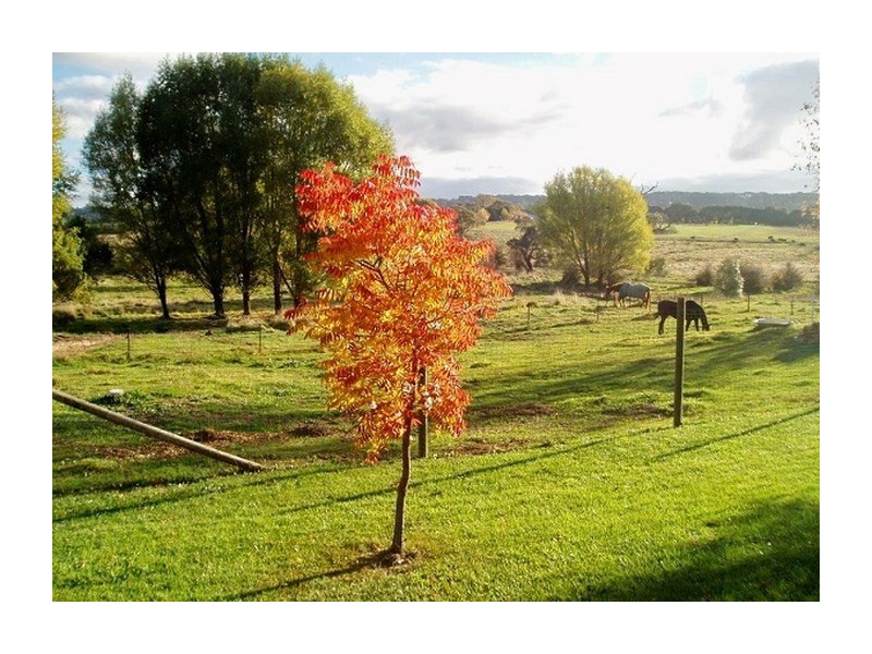 7 Wade Street, Crookwell NSW 2583