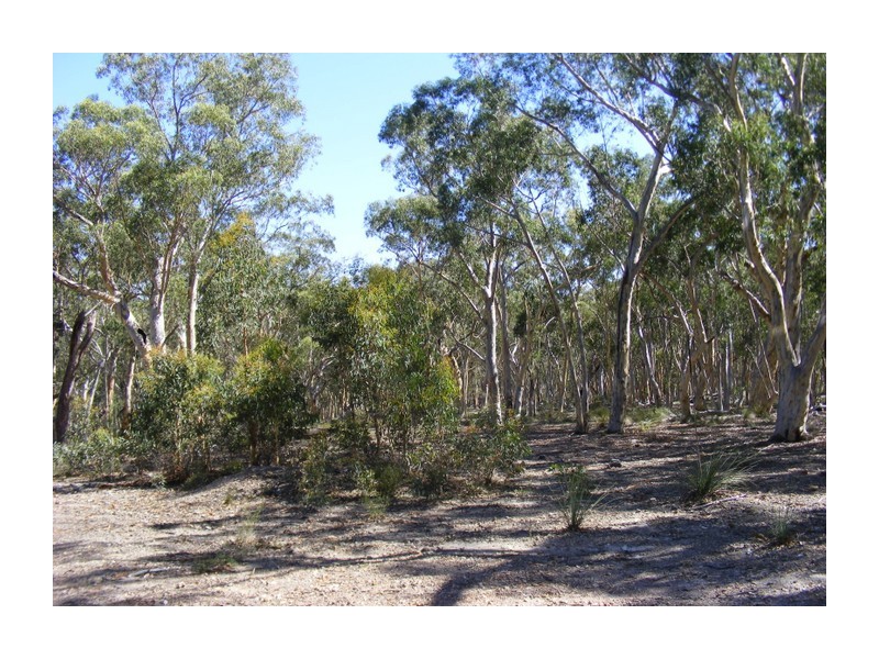 99 Carters Close, Greenwich Park NSW 2580