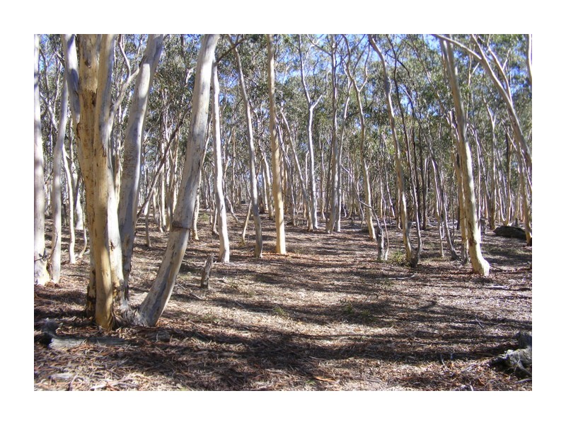 96 Winfarthing Road, Marulan NSW 2579