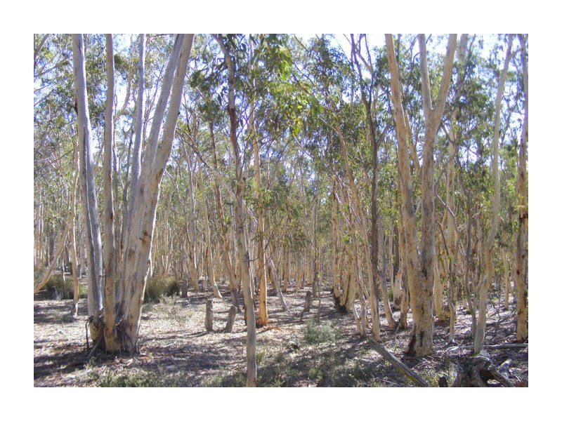 96 Winfarthing Road, Marulan NSW 2579