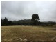 478 Forest Siding Road, Middle Arm NSW 2580