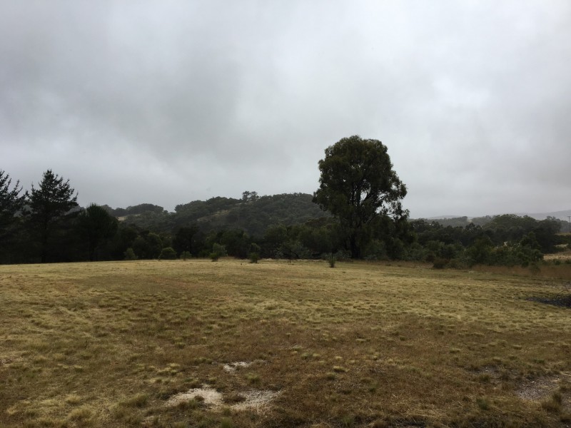 478 Forest Siding Road, Middle Arm NSW 2580