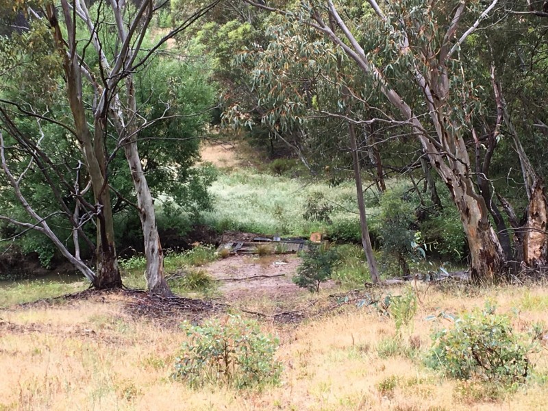 478 Forest Siding Road, Middle Arm NSW 2580