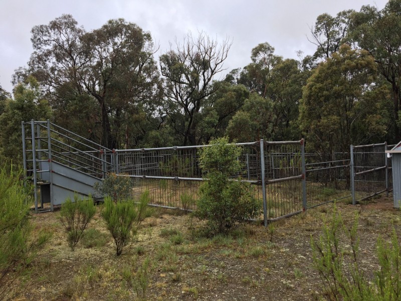 478 Forest Siding Road, Middle Arm NSW 2580