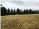 478 Forest Siding Road, Middle Arm NSW 2580