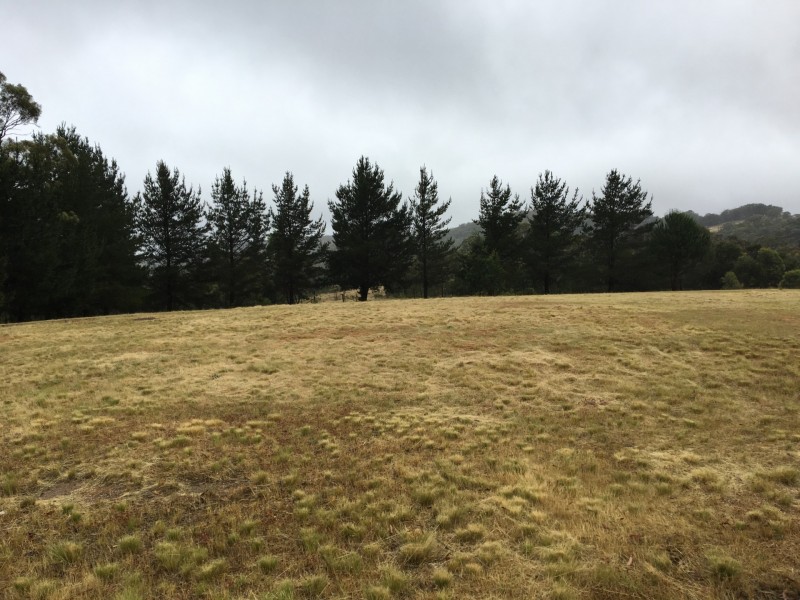 478 Forest Siding Road, Middle Arm NSW 2580