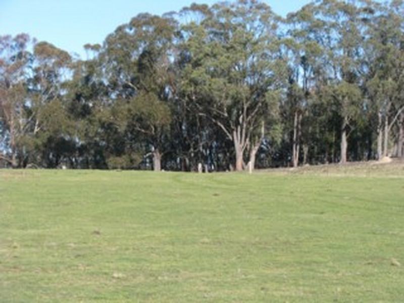 127 Longswamp Road, Greenwich Park NSW 2580