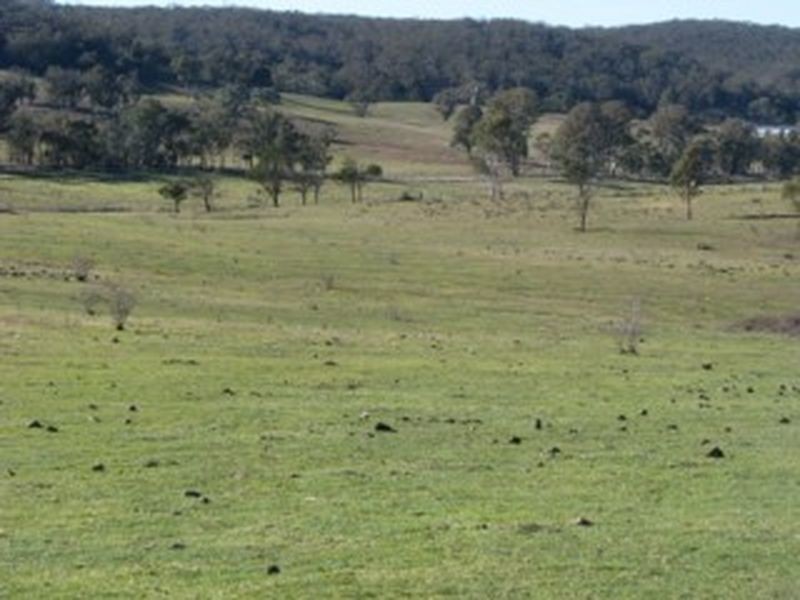 127 Longswamp Road, Greenwich Park NSW 2580