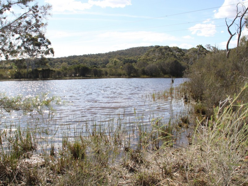 468 Williams Drive, Tarago NSW 2580